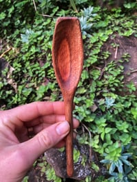 Image 1 of Banksia Eating Spoon