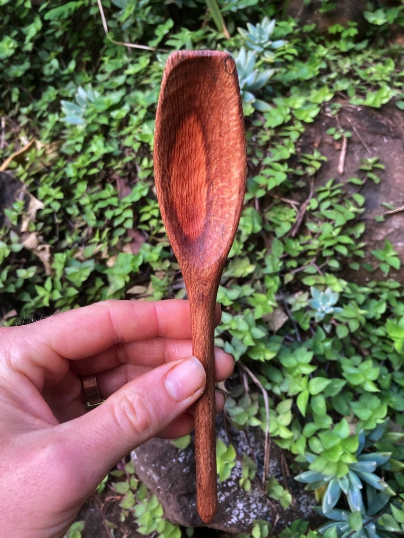 Image of Banksia Eating Spoon