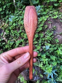 Image 2 of Banksia Eating Spoon