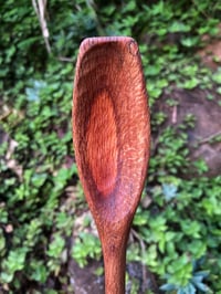Image 4 of Banksia Eating Spoon