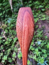 Image 5 of Banksia Eating Spoon