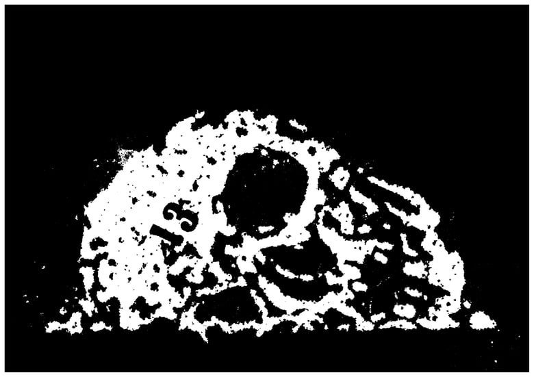 Image of Skull 13 — Giclée art-print