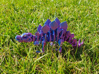 Image 2 of Large & Medium Skeleton Stegosaurus 