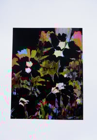 Image 1 of War Flowers N.008 | Upon Midnight | Classic Print