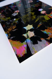 Image 2 of War Flowers N.008 | Upon Midnight | Classic Print