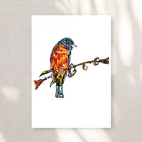 Image 1 of Orangish Eurasian Bullfinch Print