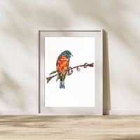 Image 4 of Orangish Eurasian Bullfinch Print