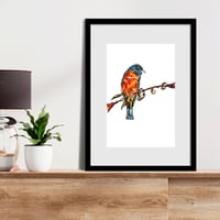 Image 2 of Orangish Eurasian Bullfinch Print