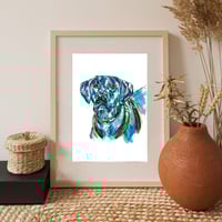 Image 6 of Rhodesian Ridgeback Scout Print