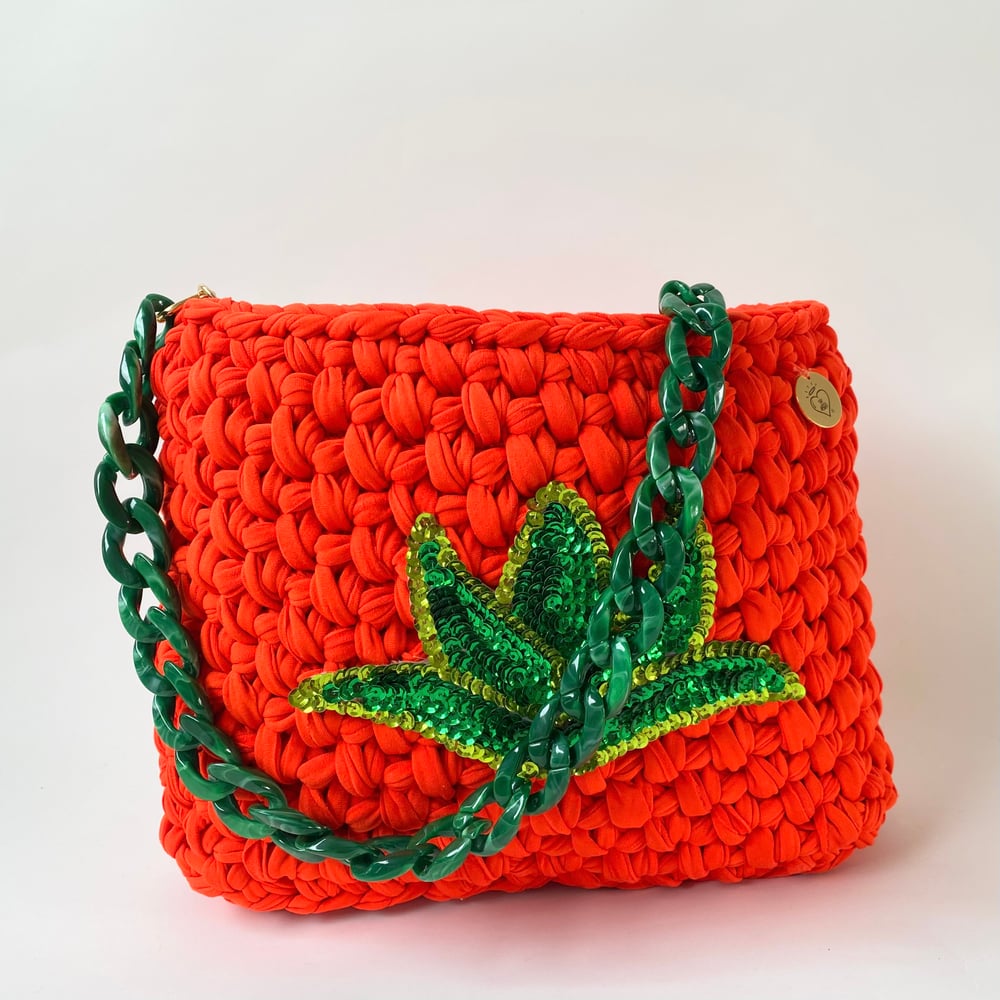 Image of Agave  Orange