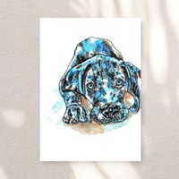 Image 1 of Puppy Weimaraner Yuni Print