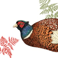 Image 3 of PHEASANT BLANK CARD