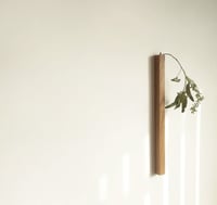 Image 1 of Wall Hanging Flower Vase