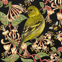 Image 3 of SISKIN GREETING CARD