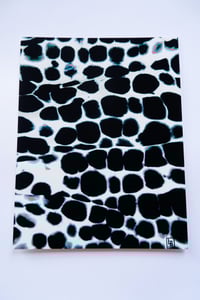 Image 1 of Acid Wash Series | X BLCK