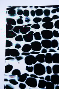 Image 2 of Acid Wash Series | X BLCK