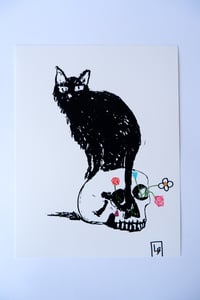 Image 1 of Black Cat