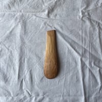 Image 4 of Serving Scoop