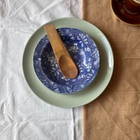 Image 1 of Serving Scoop