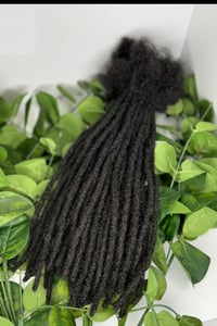 Image 2 of Traditional Locs  