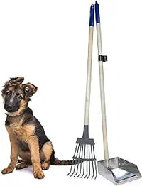 Wood Handle Pooper Scooper Durable Solid Metal Poop Tray with Rake 36.75" Long Handled Scoop | Great