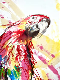 Perceptive parrot 2