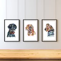 Image 7 of Yellow Labrador Rosie Print