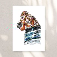 Image 1 of Sharpei and Beagle mixed Rex Print