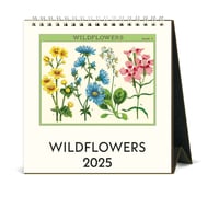 Image 1 of Cavallini & Co. Wildflowers 2025 Easel Desk Calendar, 6.5"x6.5" 