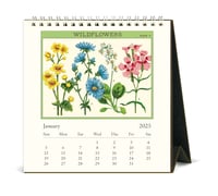 Image 2 of Cavallini & Co. Wildflowers 2025 Easel Desk Calendar, 6.5"x6.5" 
