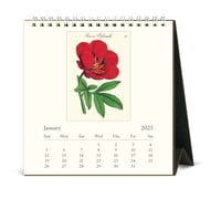 Image 2 of Cavallini & Co. Botanica 2025 Easel Desk Calendar, 6.5"x6.5" 