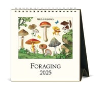 Image 1 of Cavallini & Co. Foraging 2025 Easel Desk Calendar, 6.5"x6.5"