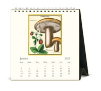 Image 2 of Cavallini & Co. Foraging 2025 Easel Desk Calendar, 6.5"x6.5"