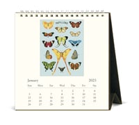 Image 2 of Cavallini & Co. Papillons 2025 Easel Desk Calendar, 6.5"x6.5"