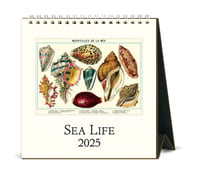 Image 1 of Cavallini & Co. Sea Life 2025 Easel Desk Calendar, 6.5"x6.5"