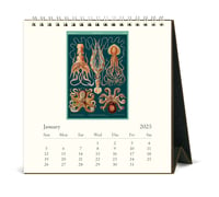 Image 2 of Cavallini & Co. Sea Life 2025 Easel Desk Calendar, 6.5"x6.5"