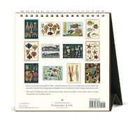 Image 3 of Cavallini & Co. Sea Life 2025 Easel Desk Calendar, 6.5"x6.5"