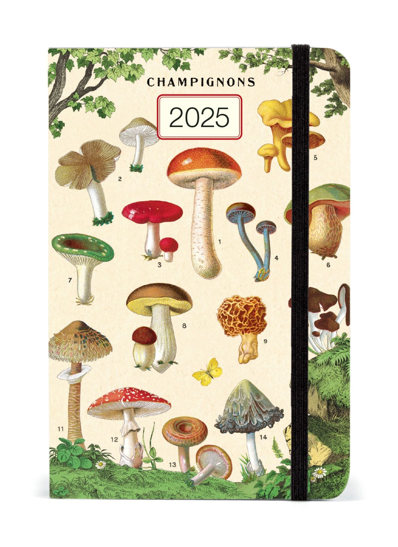 Cavallini Co Mushrooms 2025 Weekly Pocket Planner 4 x6 POMP POSEY cavallini-co-mushrooms-2025-weekly-pocket-planner-4-x6-pomp-posey