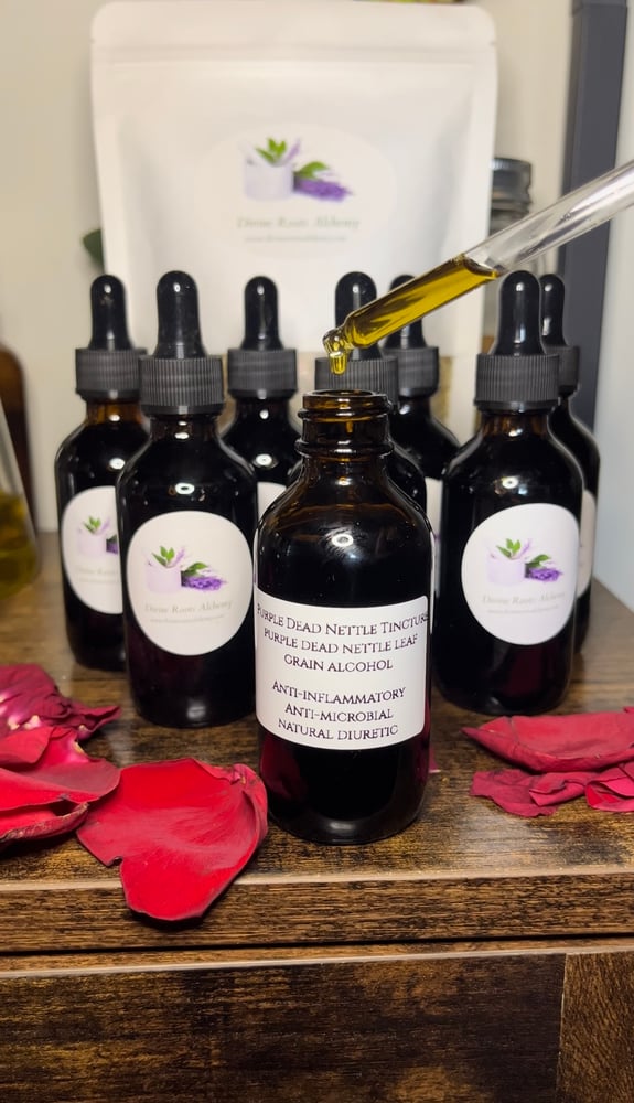 Image of Purple Dead Nettle Leaf Tincture