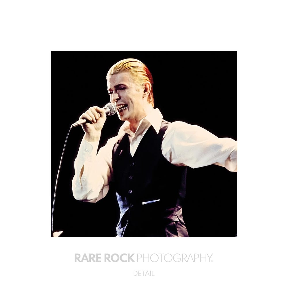 David Bowie - Too Late / A2 Poster