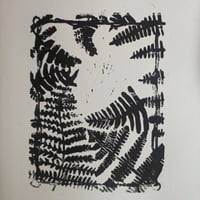 Image 1 of fern 