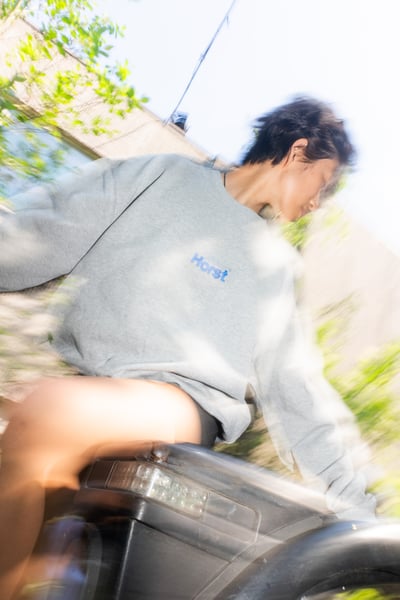 Image of Horst Sweater Grey