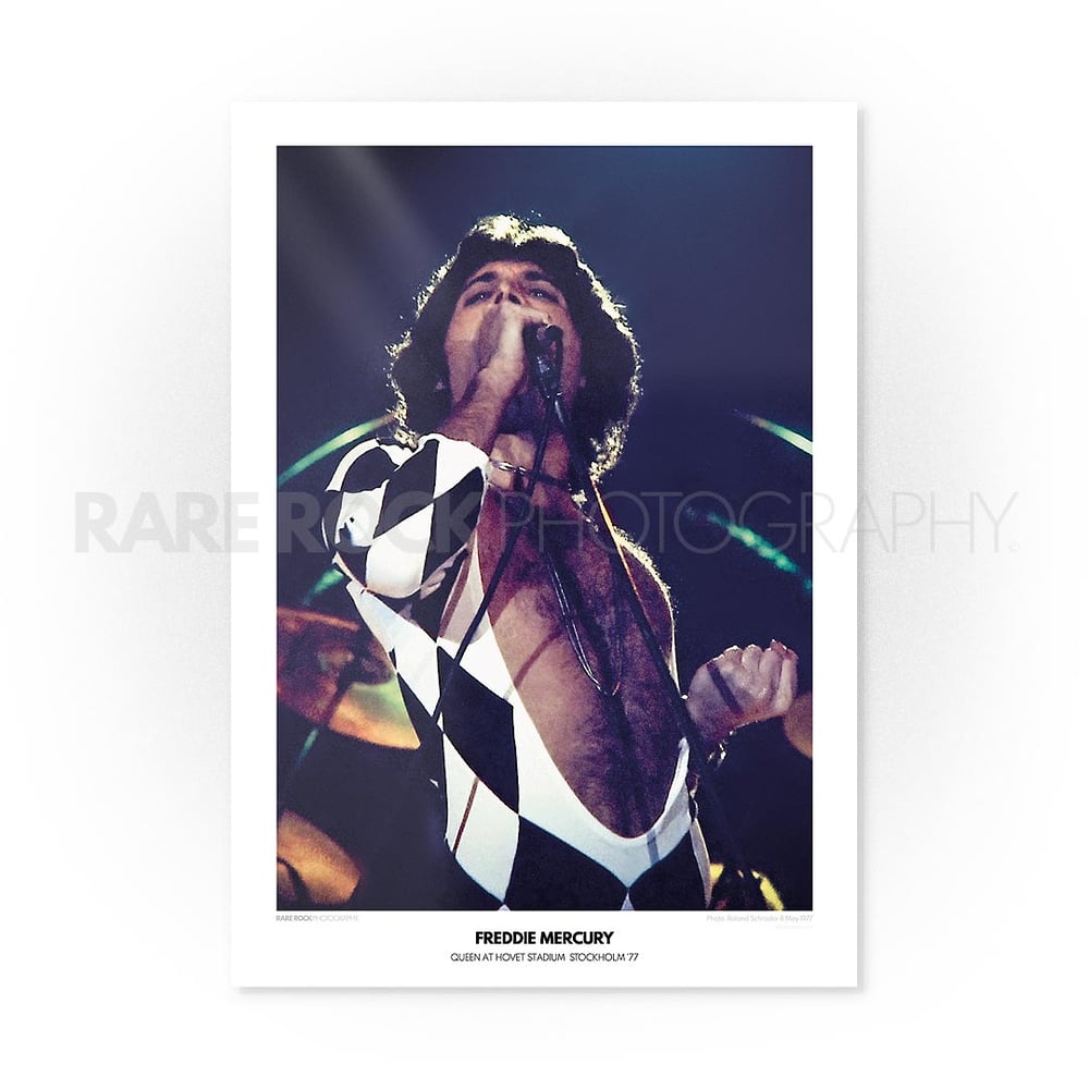 Freddie Mercury - Rock of Ages / A2 Poster