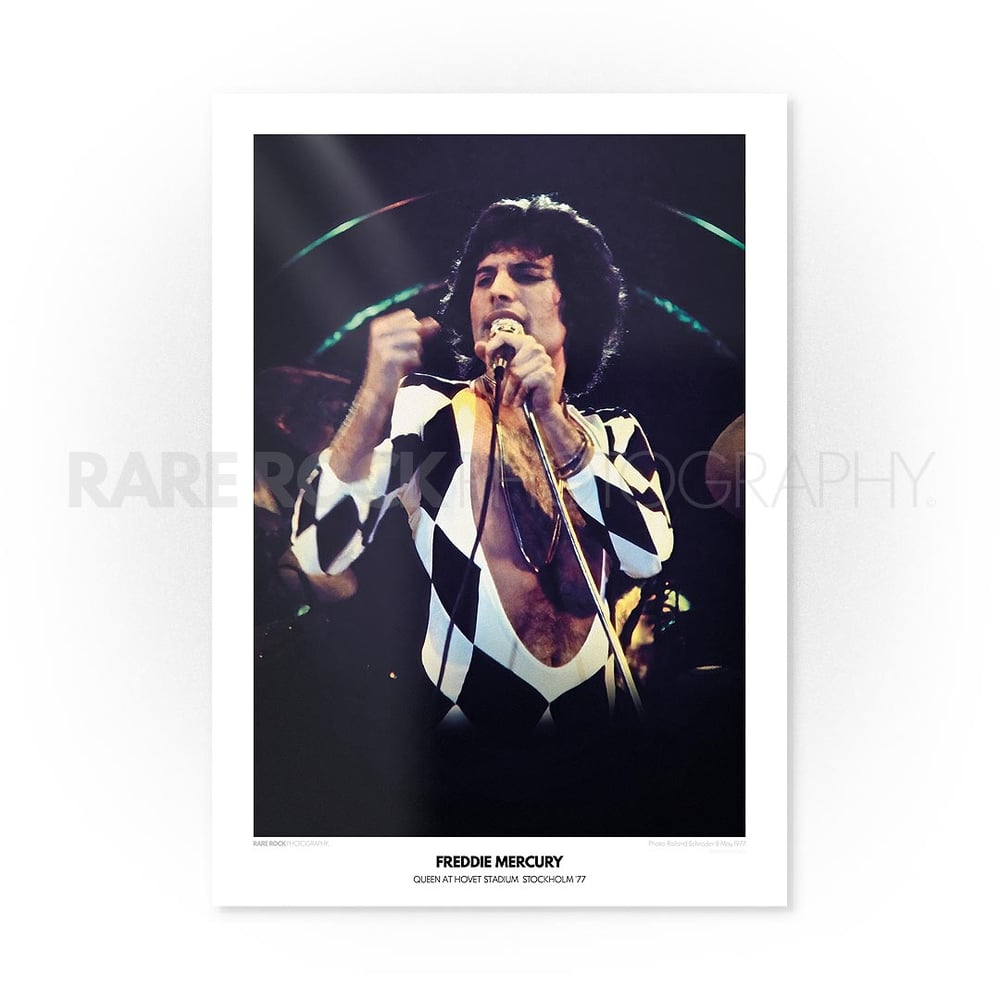 Freddie Mercury - Big Spender / A2 Poster