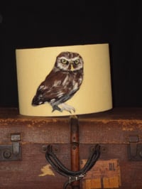 Little Owl Lampshade