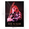 Joe Walsh - Eagles Stockholm '77 / B2 Poster