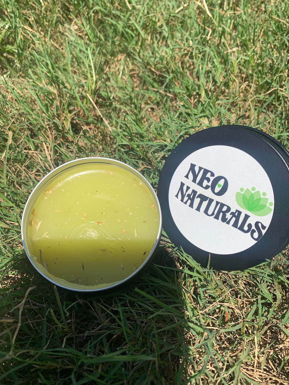 Image of Arthur Whooo? Herbal Healing Salve