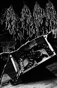 Snake Oil Merchants - Self-Titled (C24)