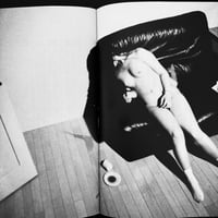 Image 6 of Secrets of the Genius Araki