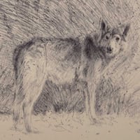 Image 4 of Arya Stark